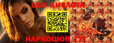 шишки Будённовск
