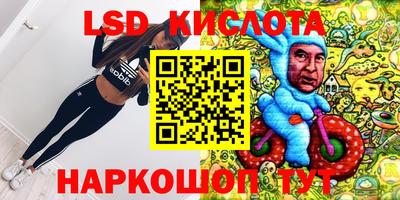 шишки Будённовск