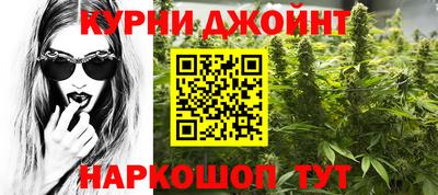 шишки Будённовск